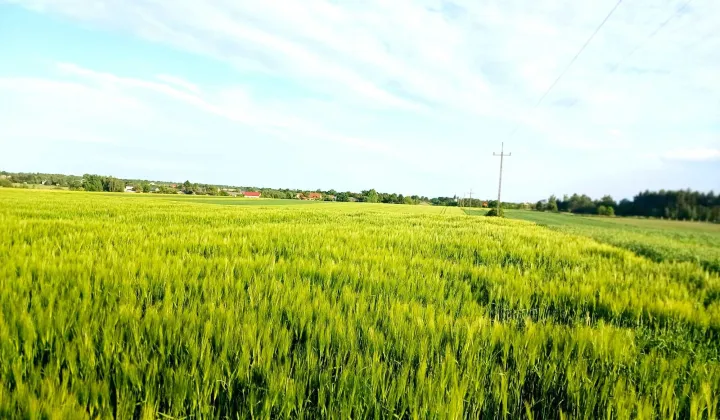 Działka budowlana Nasutów