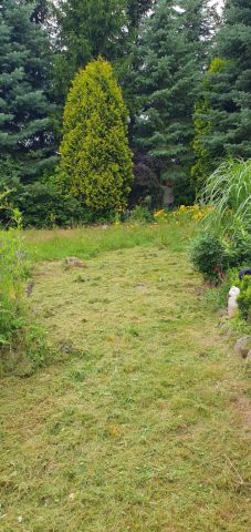 Działka budowlana Życiny. Zdjęcie 1