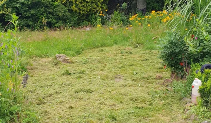 Działka budowlana Życiny