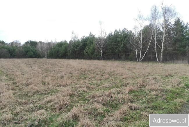 Działka budowlana Łacha, ul. Polnej Róży. Zdjęcie 8