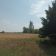 Działka rolno-budowlana Chynów, ul. Wspólna. Zdjęcie 4