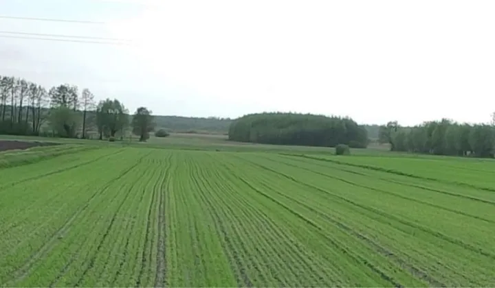 Działka rolno-budowlana Krzewent
