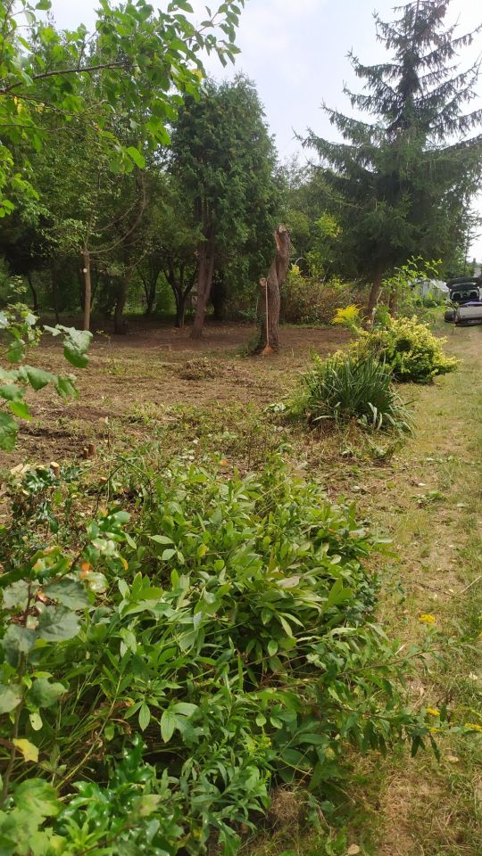 Działka rod Warszawa Mokotów, ul. Romana Statkowskiego. Zdjęcie 3