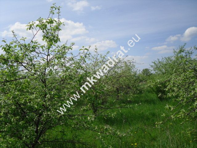 Działka budowlana Baszkówka. Zdjęcie 2