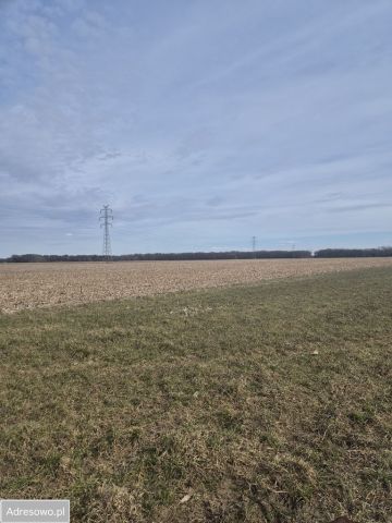 Działka rolna Stoszyce. Zdjęcie 1