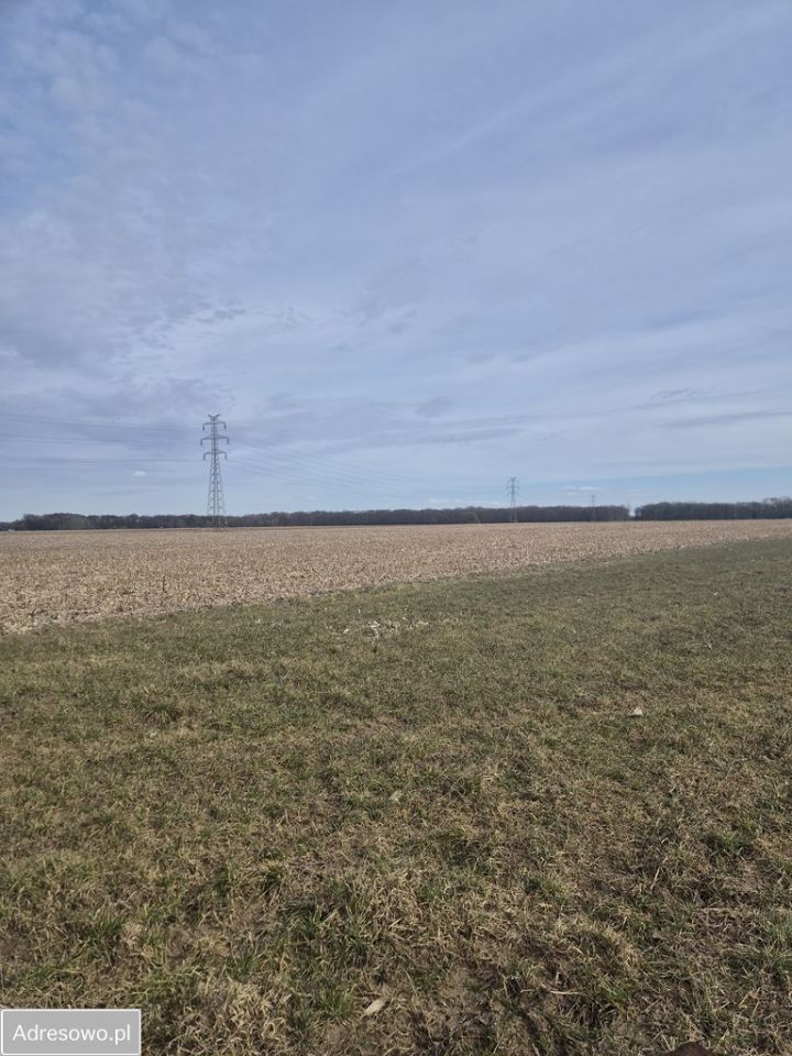 Działka rolna Stoszyce. Zdjęcie 1