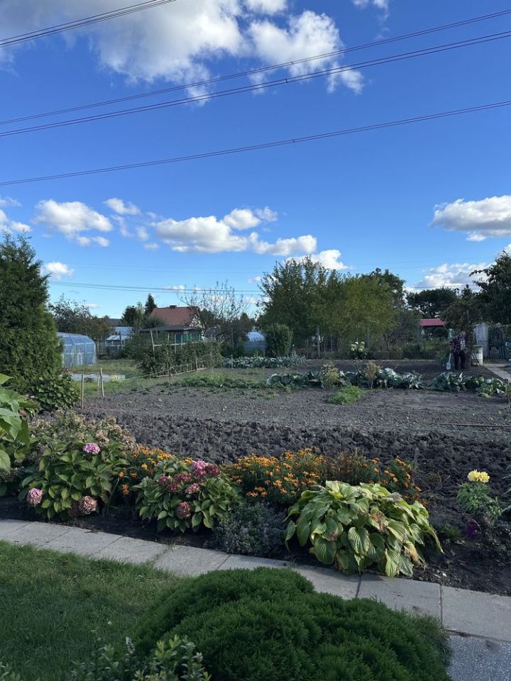 Działka rod Gdańsk Olszynka, ul. Zawodzie. Zdjęcie 2