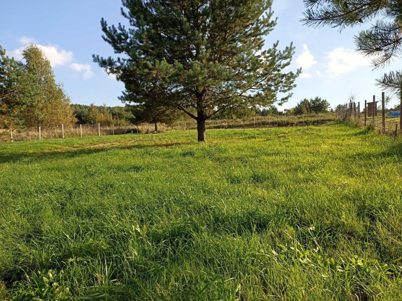 Działka budowlana Ryczówek. Zdjęcie 6