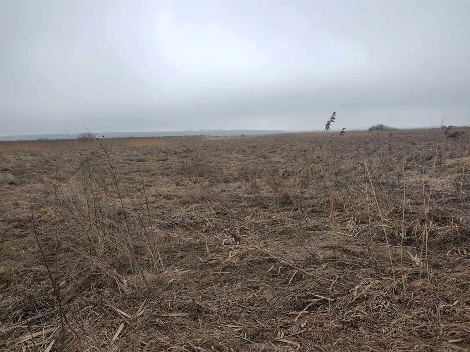Działka rolna Miączyn-Kolonia, brak. Zdjęcie 2