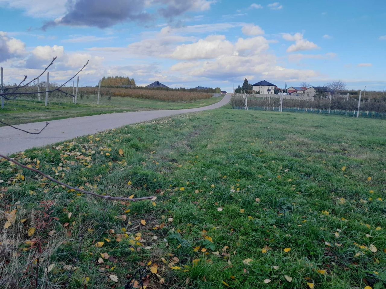 Działka rolno-budowlana Ruszcza-Płaszczyzna. Zdjęcie 3