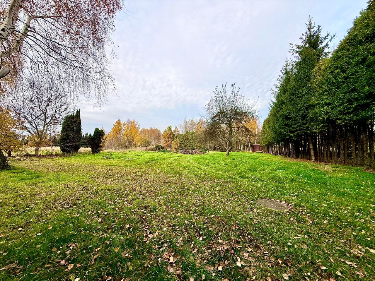 Działka budowlana Rybnik Zebrzydowice, ul. Krzywa. Zdjęcie 2