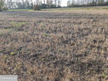 Działka rolno-budowlana Gdańsk Świbno. Zdjęcie 2