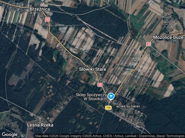 Działka rolno-budowlana Stare Słowiki Nowe Słowiki. Zdjęcie 1