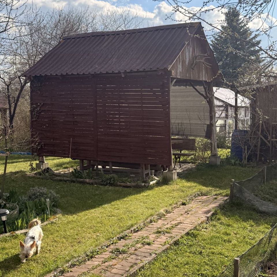 Działka rod Konieczki. Zdjęcie 4