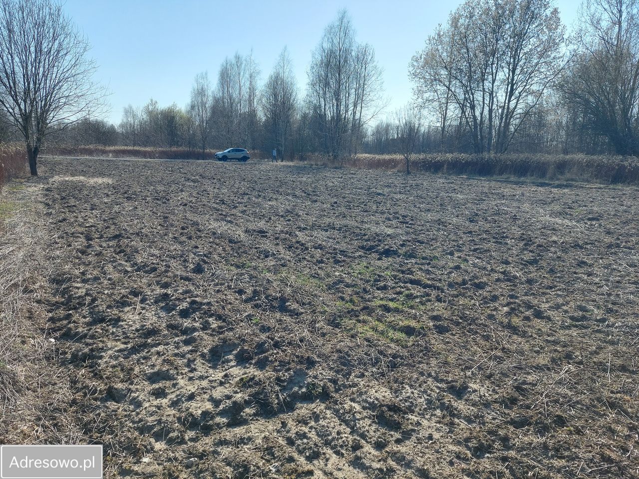 Działka rolno-budowlana Zabieżki, ul. Krecia. Zdjęcie 7