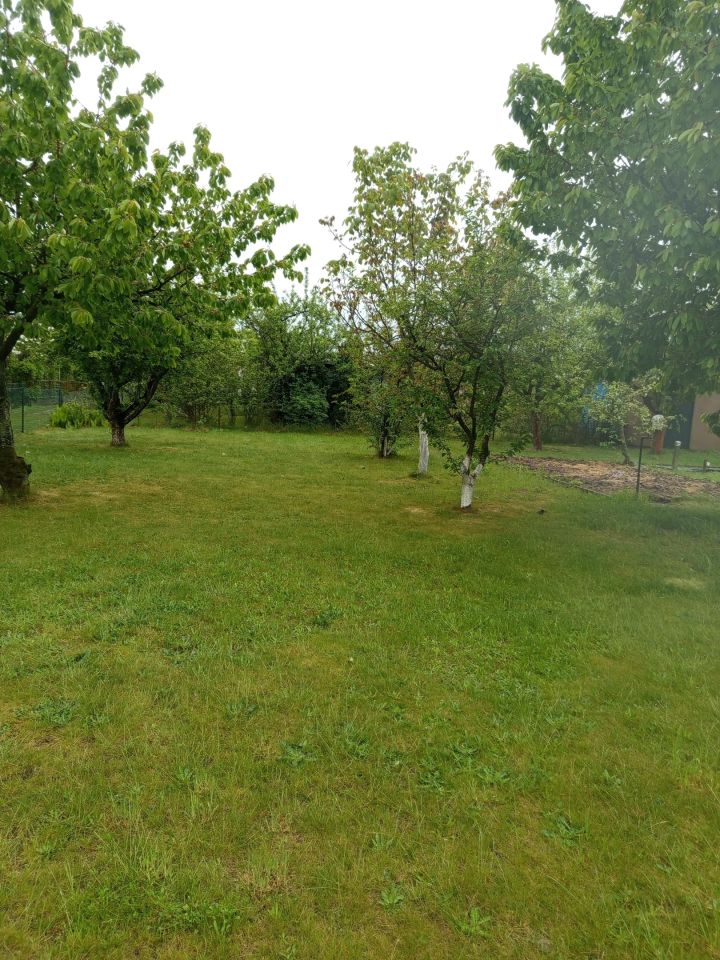 Działka rod Pyszczyn, Gdańska 209. Zdjęcie 2