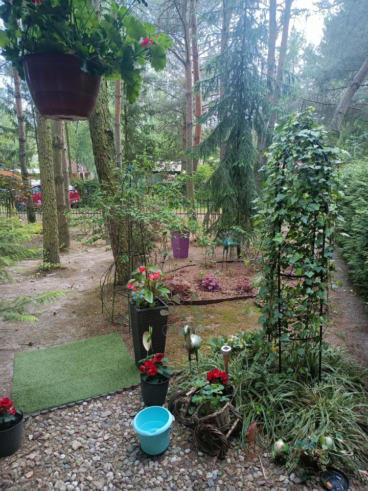 Działka rekreacyjna Miłosławice. Zdjęcie 7