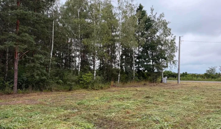 Działka budowlana Kaźmierów