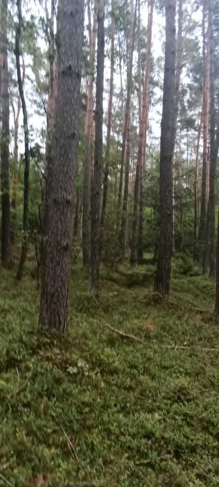 Działka Zawadów