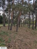 Działka rekreacyjna Starowola, ul. Graniczna. Zdjęcie 4