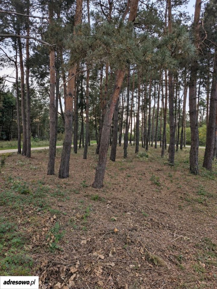 Działka rekreacyjna Starowola, ul. Graniczna. Zdjęcie 5
