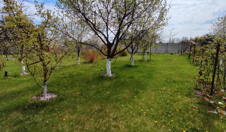 Działka rod Radom Potkanów, ul. Żelazna