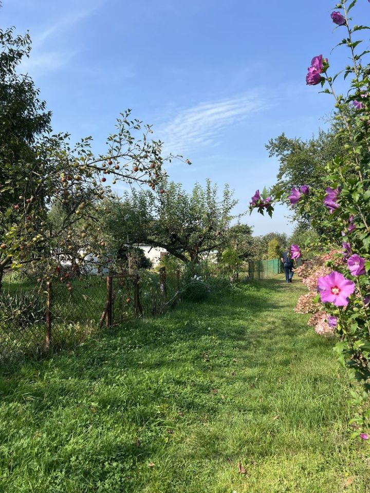 Działka rod Kraków Przegorzały, ul. Rybna. Zdjęcie 2