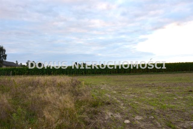 Działka siedliskowa Tworzyjanki. Zdjęcie 2