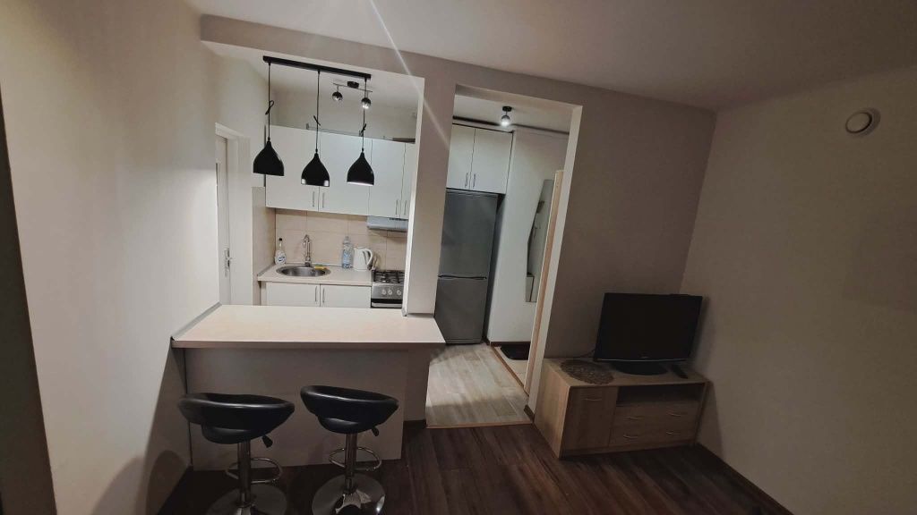 Mieszkanie 1-pokojowe Łódź Polesie, ul. Walerego Wróblewskiego. Zdjęcie 3