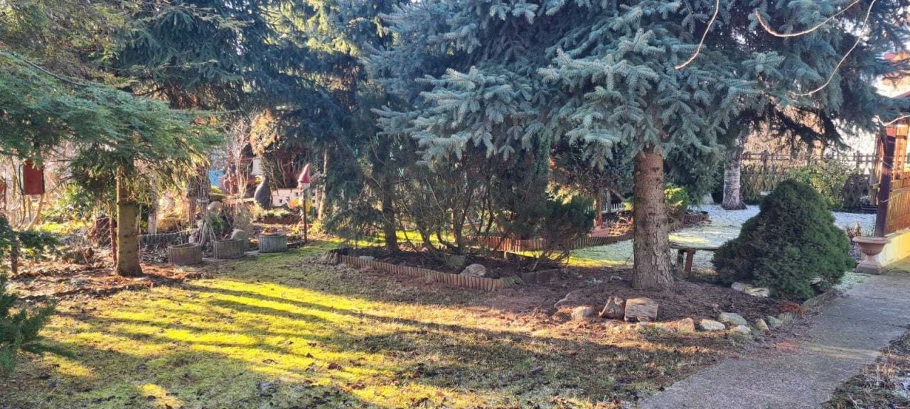 Działka rod Legnica. Zdjęcie 6