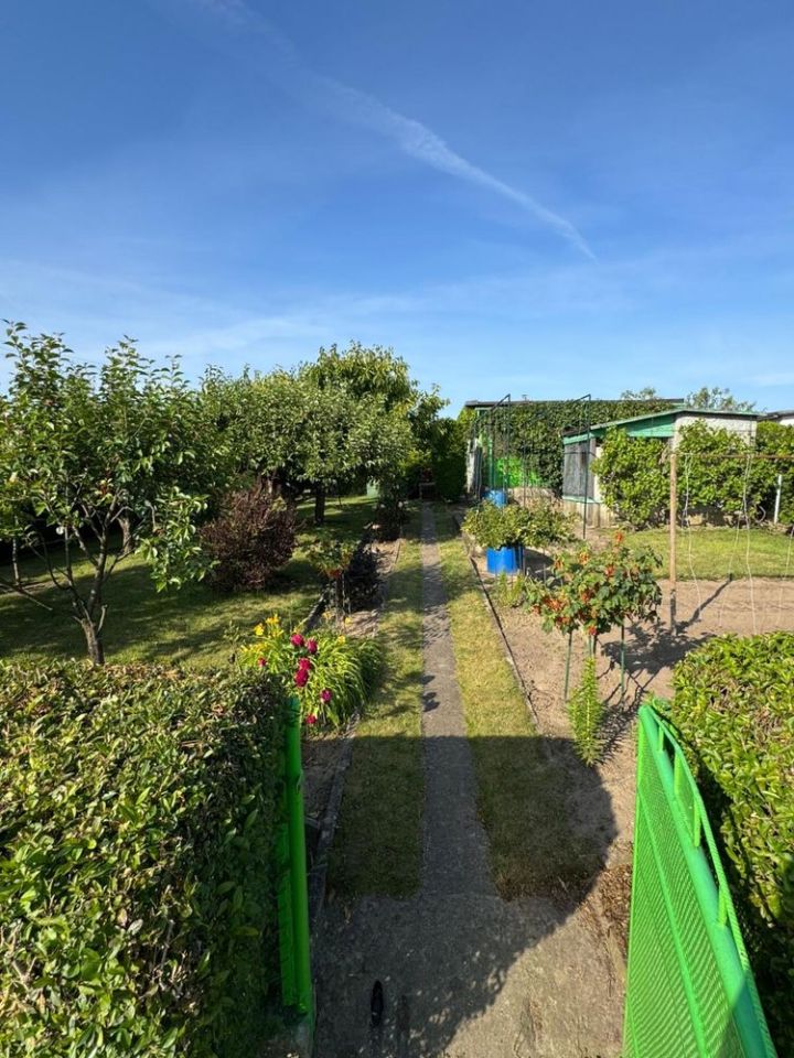 Działka rod Gniezno, ul. Biskupińska. Zdjęcie 8