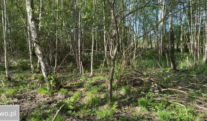 Działka rolna Sasino, ul. Wiatrowa