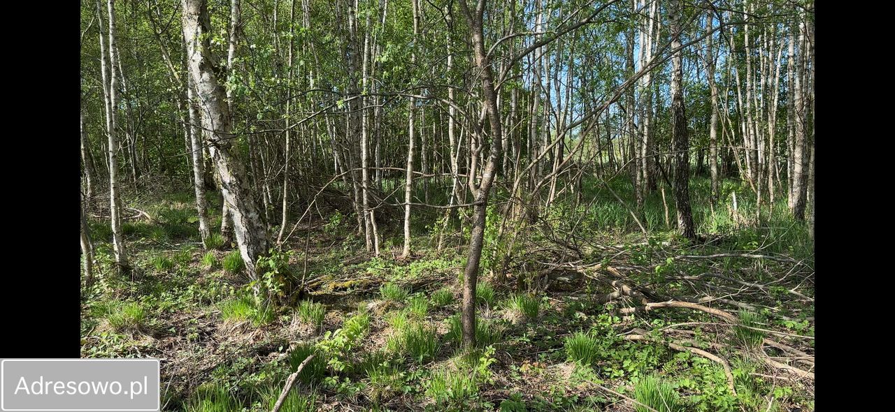 Działka rolna Sasino, ul. Wiatrowa. Zdjęcie 1