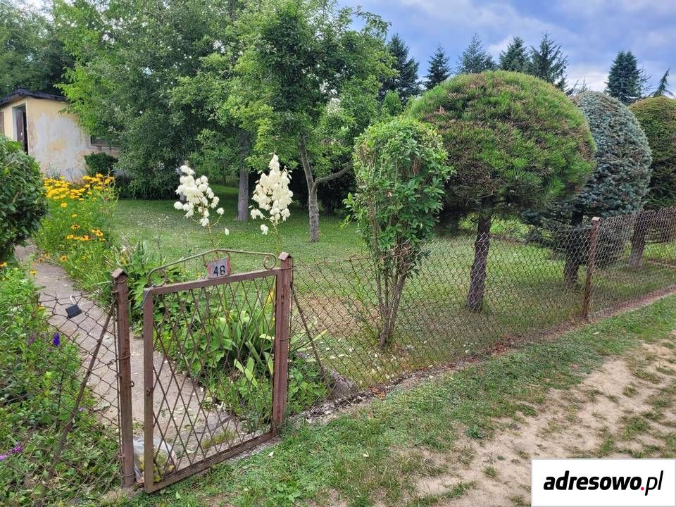 Działka rod Lubin Przylesie. Zdjęcie 2