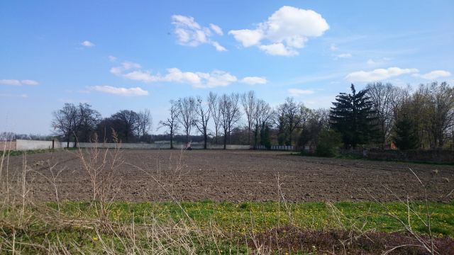 Działka rekreacyjna Rogów Sobócki, ul. Wrocławska. Zdjęcie 1