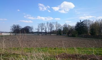 Działka rekreacyjna Rogów Sobócki, ul. Wrocławska