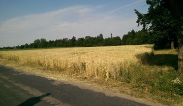 Działka inwestycyjna Janinów