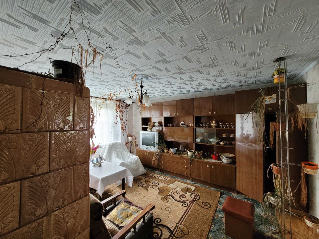 bliźniak Krasne Dłusko. Zdjęcie 4