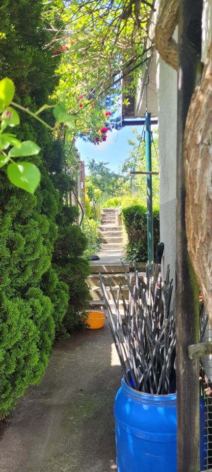 Działka rod Kołobrzeg, ul. Janiska. Zdjęcie 2