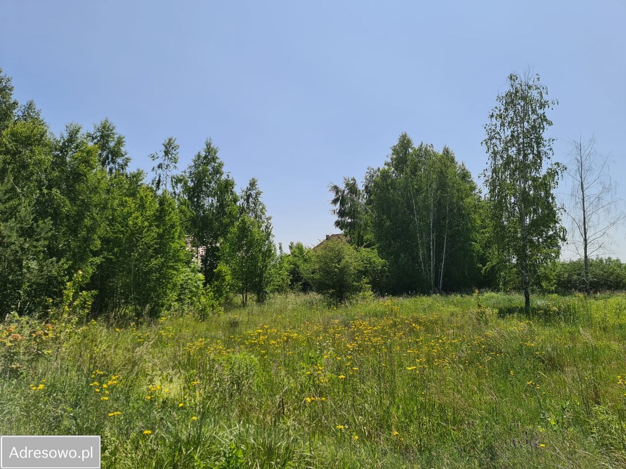Działka rolna Woźnice. Zdjęcie 2