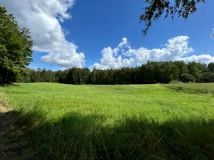 Działka rolna Żardeniki. Zdjęcie 1