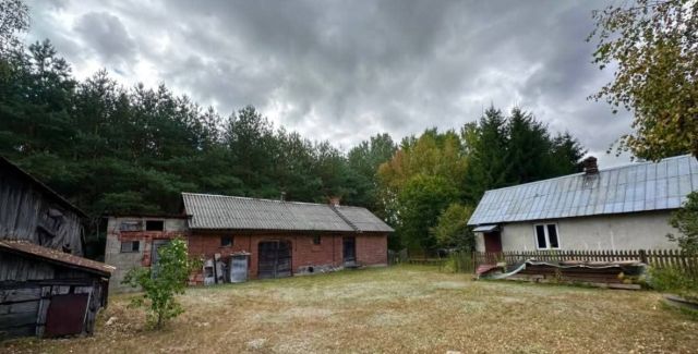 Działka rolno-budowlana Dłużew. Zdjęcie 1
