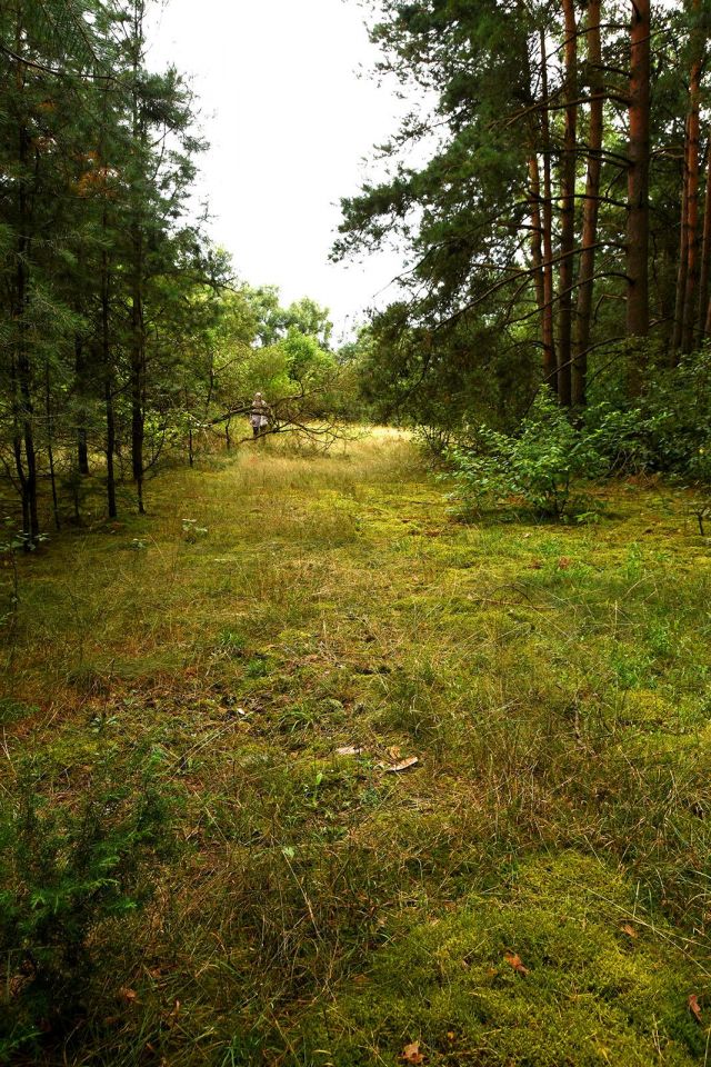 Działka budowlana Turna Duża. Zdjęcie 7