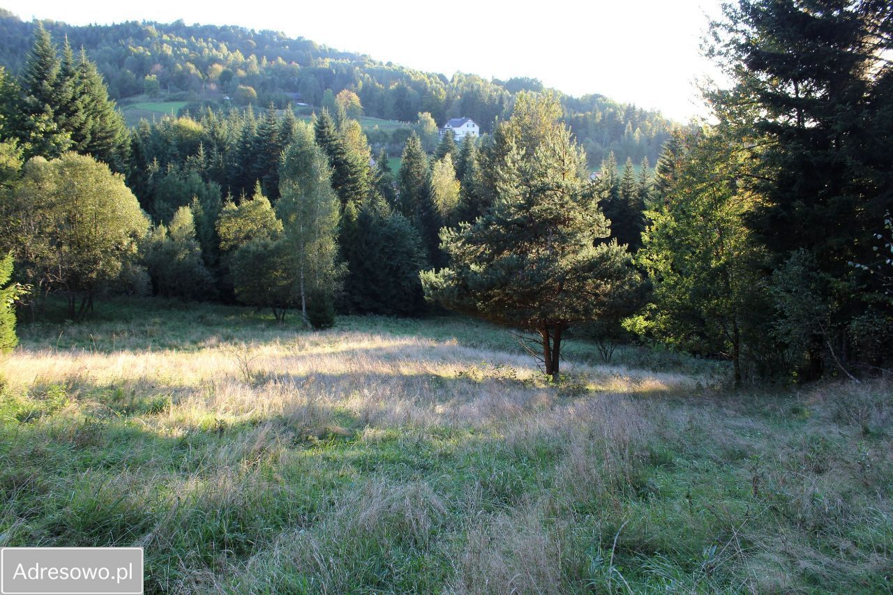 Działka Pewel Wielka. Zdjęcie 6