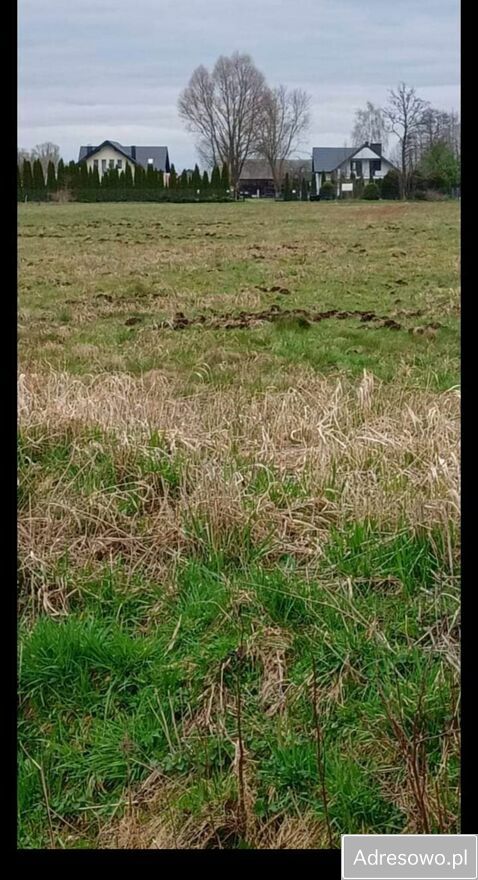 Działka budowlana Brzuza. Zdjęcie 5