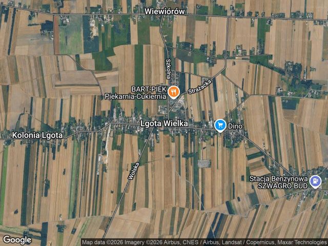 Działka rolna Lgota Wielka, bez nazwy. Zdjęcie 1