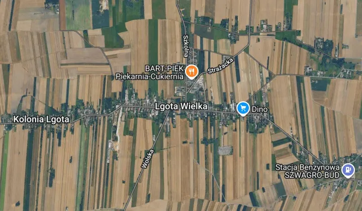 Działka rolna Lgota Wielka, bez nazwy