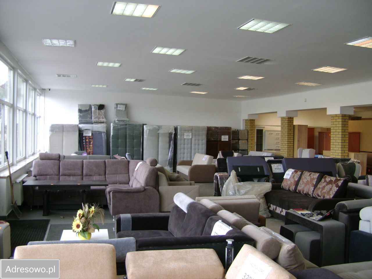 Lokal Nowa Sól Centrum, ul. Sikorskiego. Zdjęcie 14