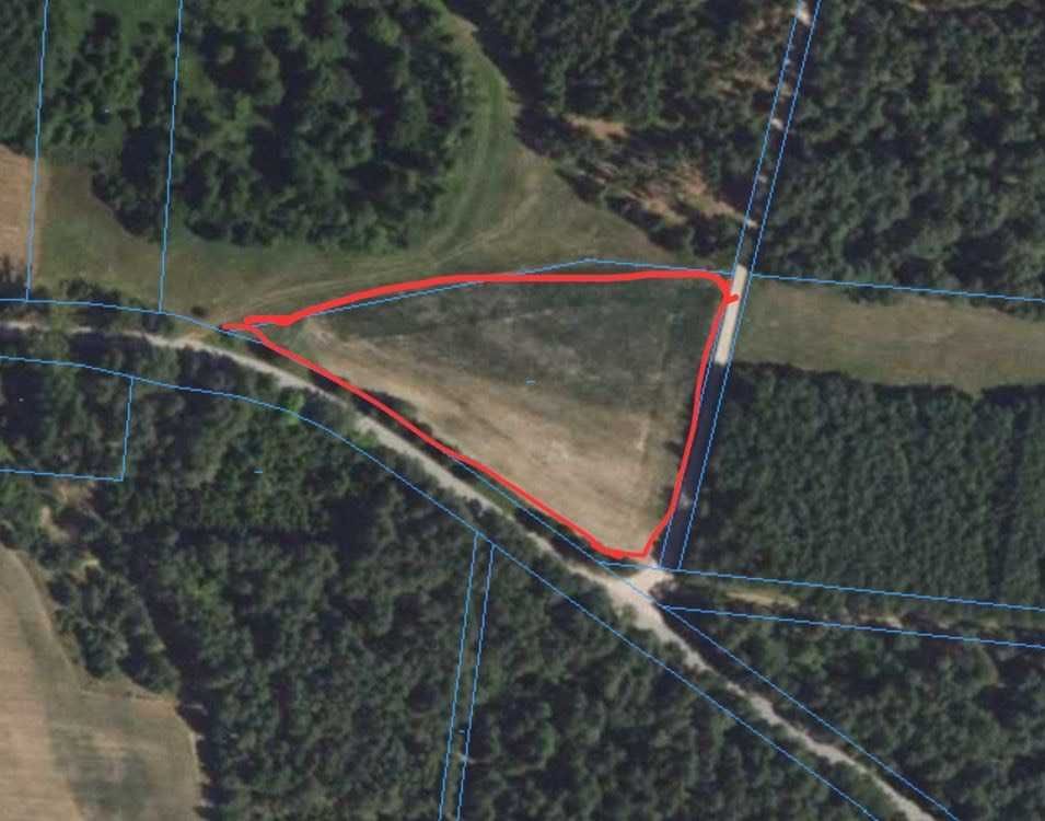 Działka rolna Dobrzyniówka. Zdjęcie 3