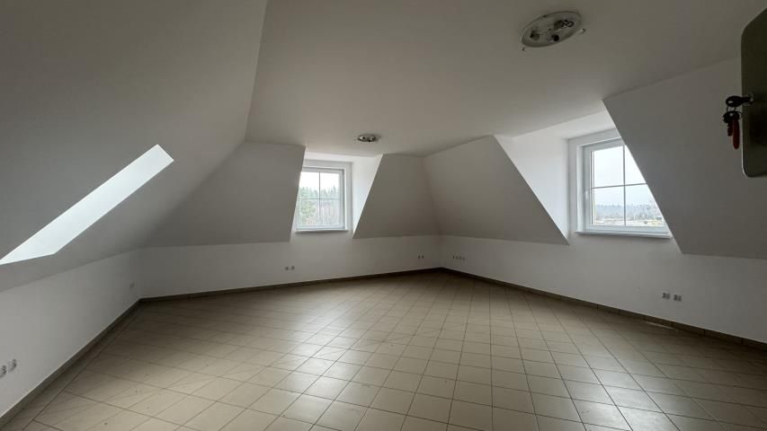 dom wolnostojący, 12 pokoi Brzeźnik. Zdjęcie 10